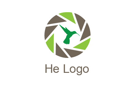 bird inside camera shutter logo