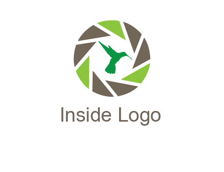 bird inside camera shutter logo