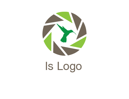 bird inside camera shutter logo
