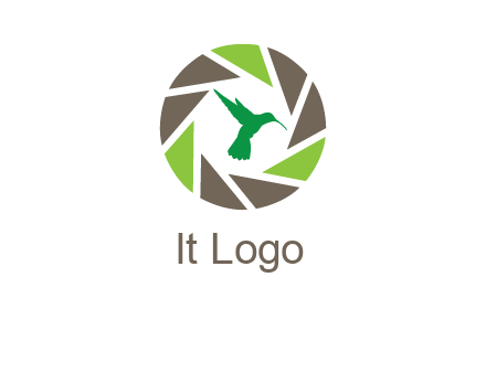 bird inside camera shutter logo
