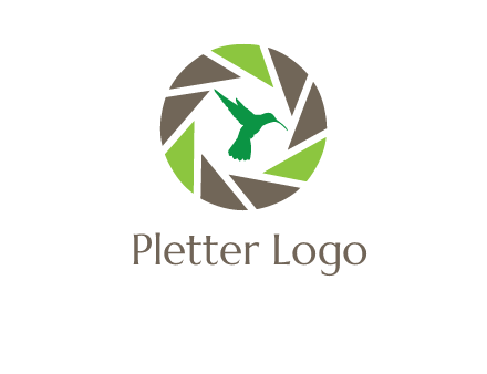 bird inside camera shutter logo