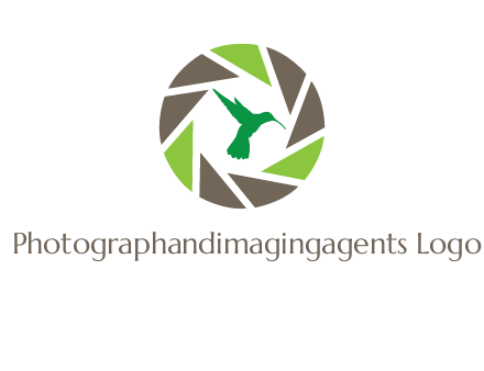 bird inside camera shutter logo