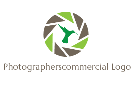 bird inside camera shutter logo