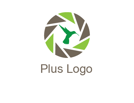 bird inside camera shutter logo