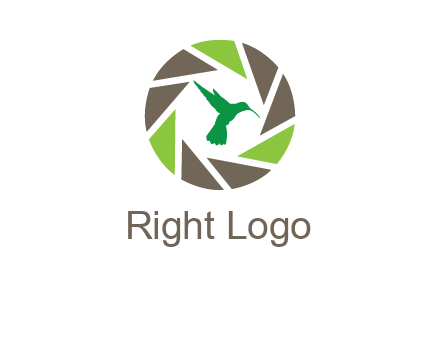 bird inside camera shutter logo