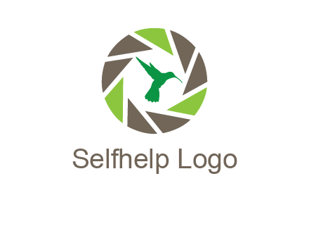 bird inside camera shutter logo