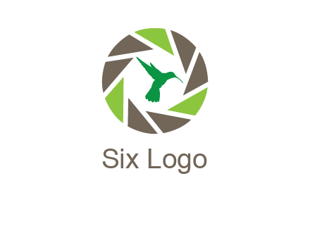 bird inside camera shutter logo