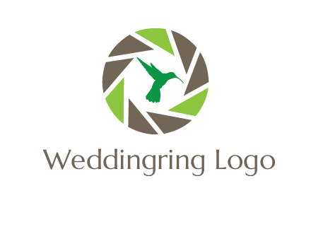 bird inside camera shutter logo