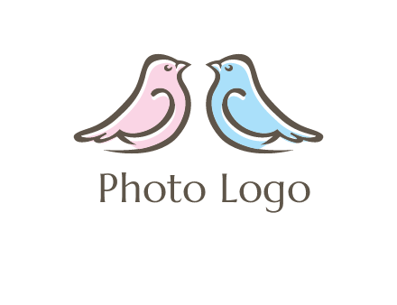 abstract birds logo