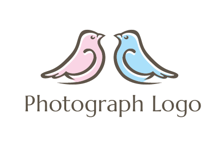 abstract birds logo
