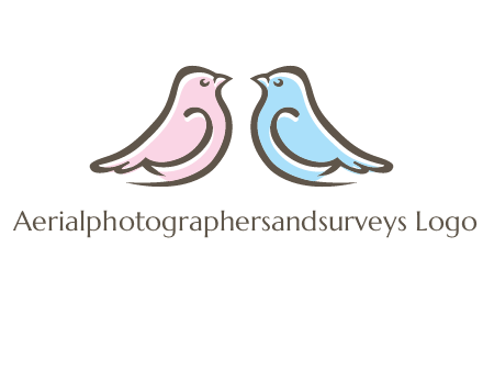 abstract birds logo