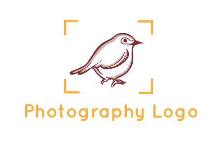 sparrow inside camera focus logo