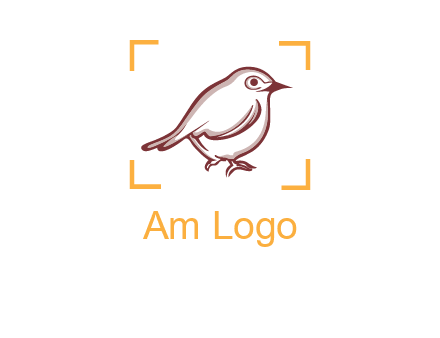 sparrow inside camera focus logo