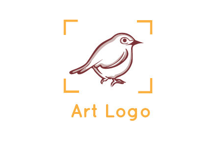 sparrow inside camera focus logo