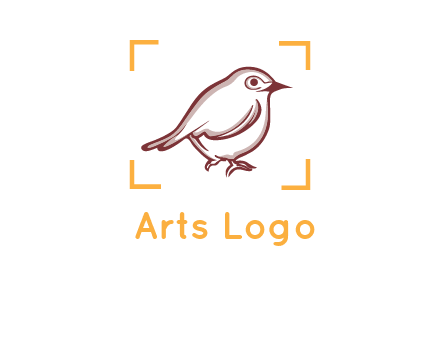 sparrow inside camera focus logo