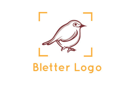 sparrow inside camera focus logo