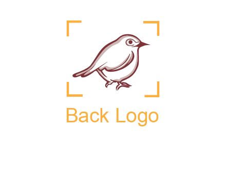 sparrow inside camera focus logo