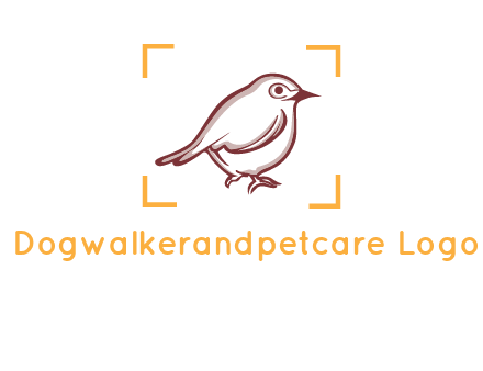 sparrow inside camera focus logo