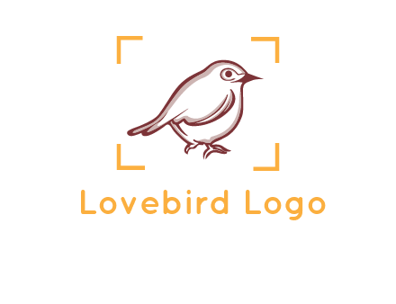 sparrow inside camera focus logo