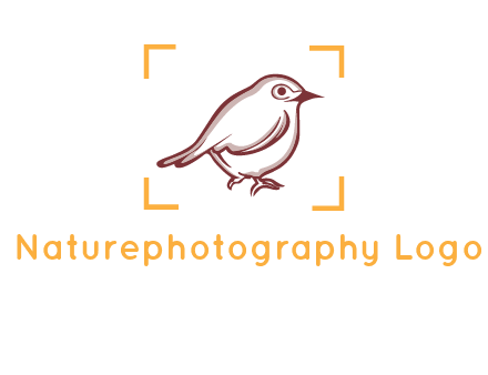 sparrow inside camera focus logo