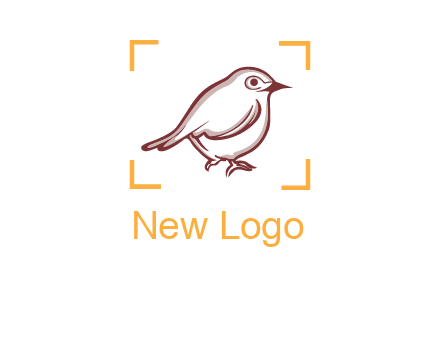 sparrow inside camera focus logo