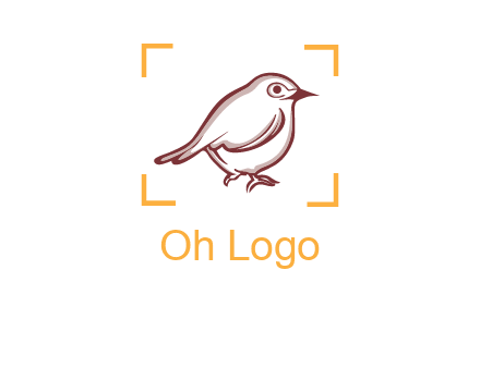 sparrow inside camera focus logo