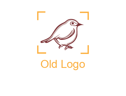 sparrow inside camera focus logo