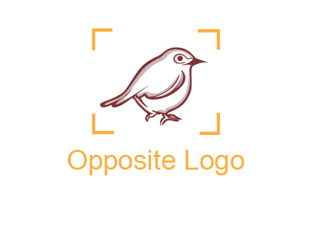 sparrow inside camera focus logo
