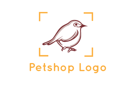 sparrow inside camera focus logo