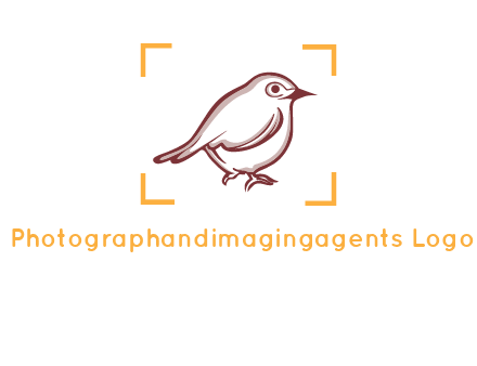 sparrow inside camera focus logo