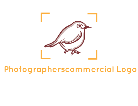sparrow inside camera focus logo