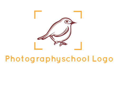 sparrow inside camera focus logo