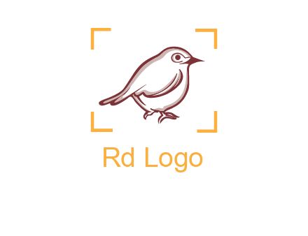 sparrow inside camera focus logo