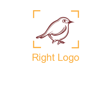sparrow inside camera focus logo