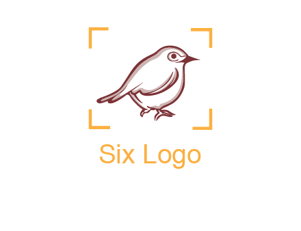 sparrow inside camera focus logo
