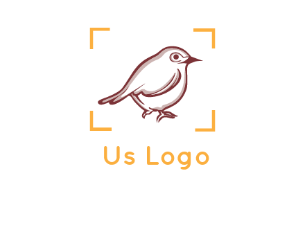 sparrow inside camera focus logo