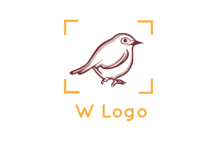 sparrow inside camera focus logo
