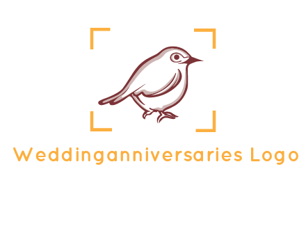 sparrow inside camera focus logo