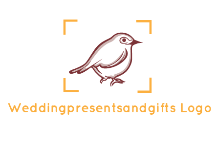 sparrow inside camera focus logo