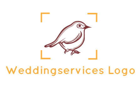 sparrow inside camera focus logo