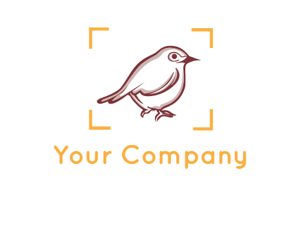 sparrow inside camera focus logo