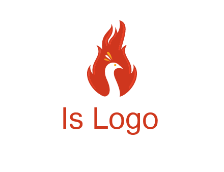 abstract peacock in fire flames icon