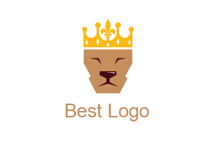 crown on lion face graphic