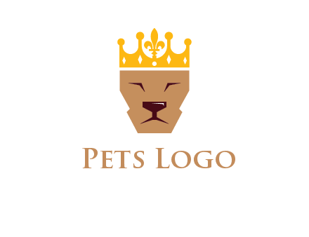 crown on lion face graphic