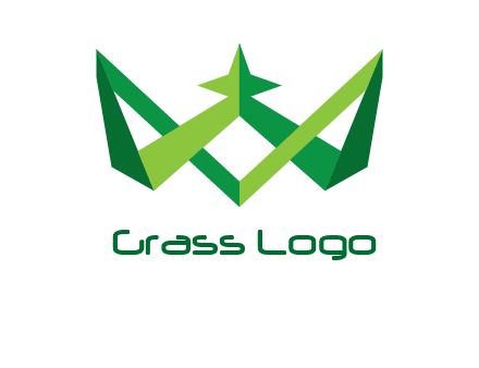 abstract crown with star graphic