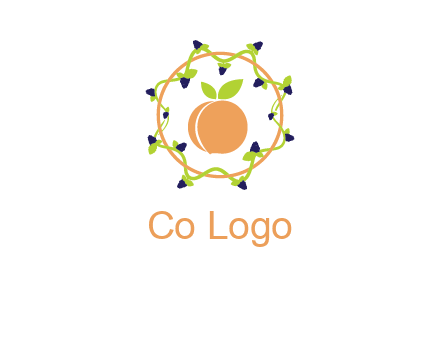 orange in circle with berries logo