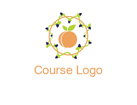 orange in circle with berries logo