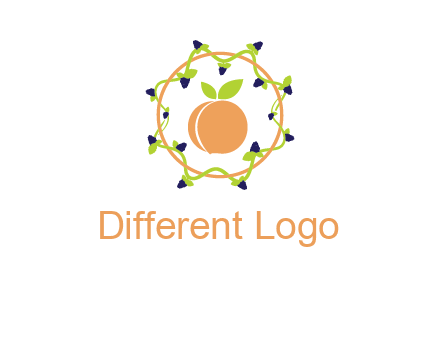 orange in circle with berries logo