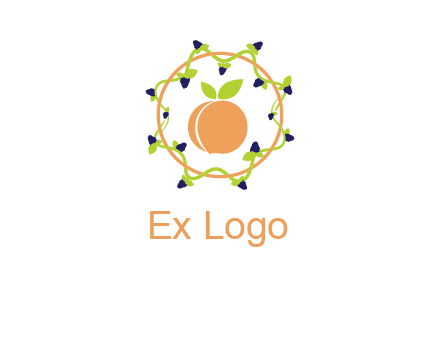orange in circle with berries logo