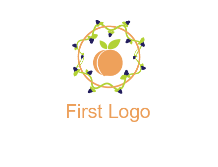 orange in circle with berries logo